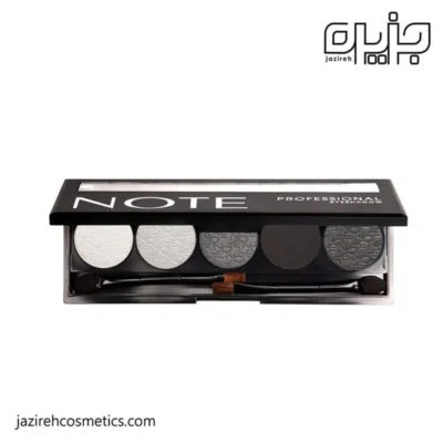 پالت سایه چشم Professional نوت-105